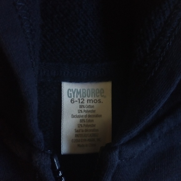 GYMBOREE | Boys Hoodie Sweatshirt - Picture 5 of 5